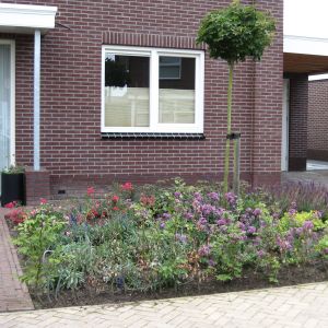 Beplanting