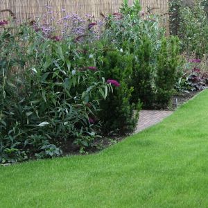 Tuintips